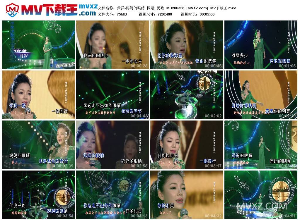 黄洋-妈妈的眼睛_国语_民歌_MD206358